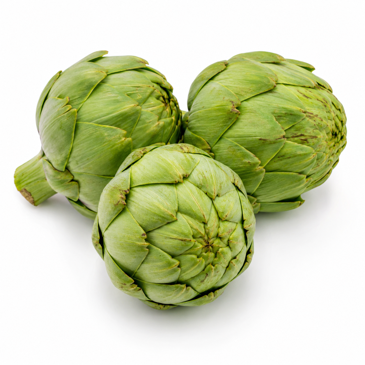 Artichoke Seeds