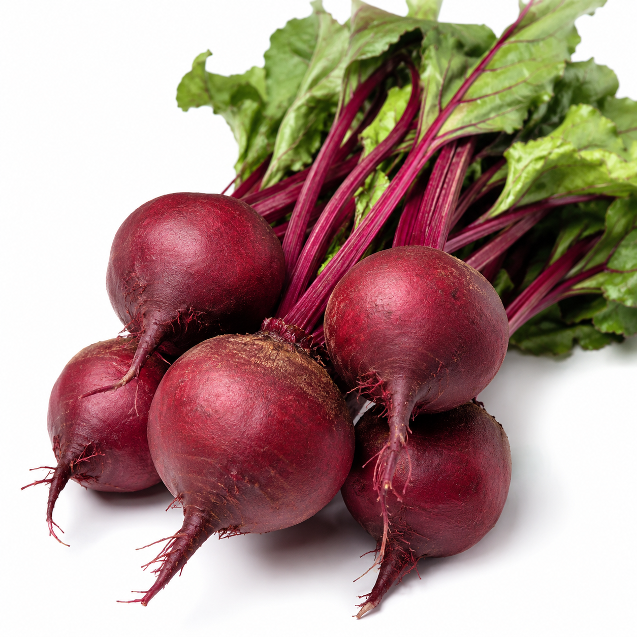 Beet Seeds