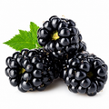 Blackberry Seeds