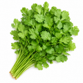 Cilantro / Coriander Seeds