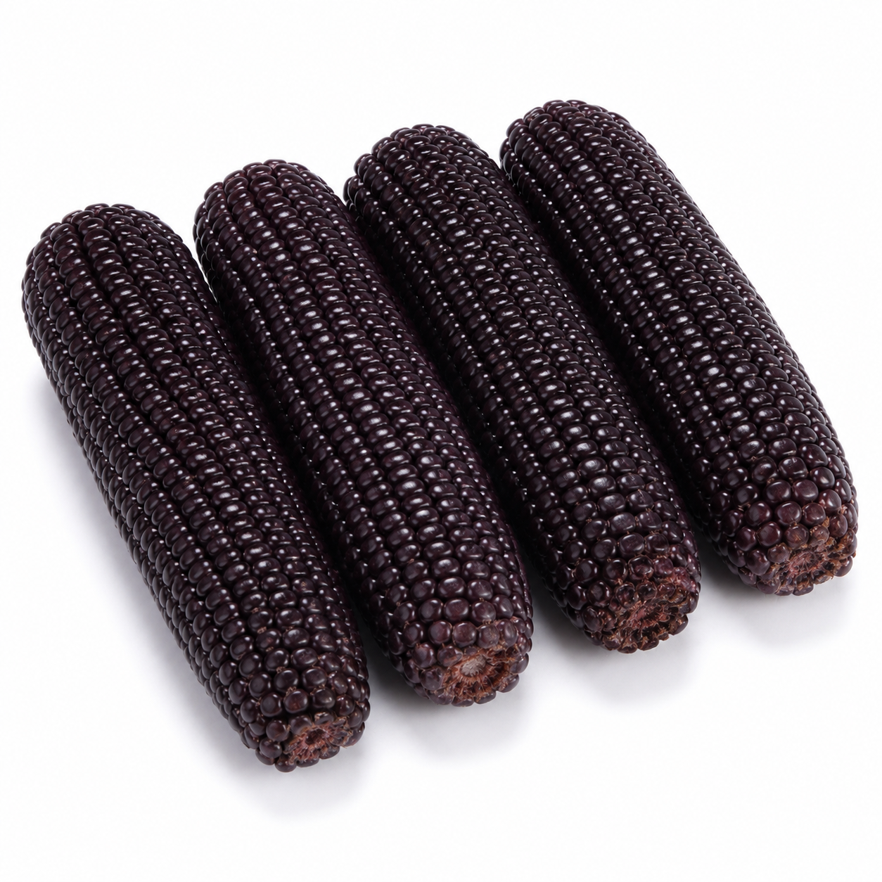 Corn Seeds