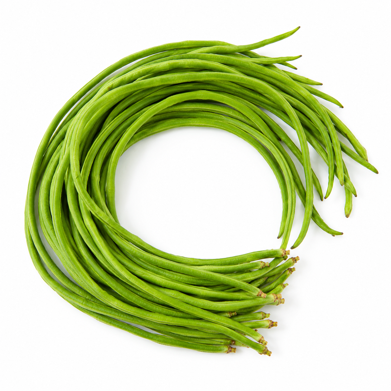 cowpea Seeds